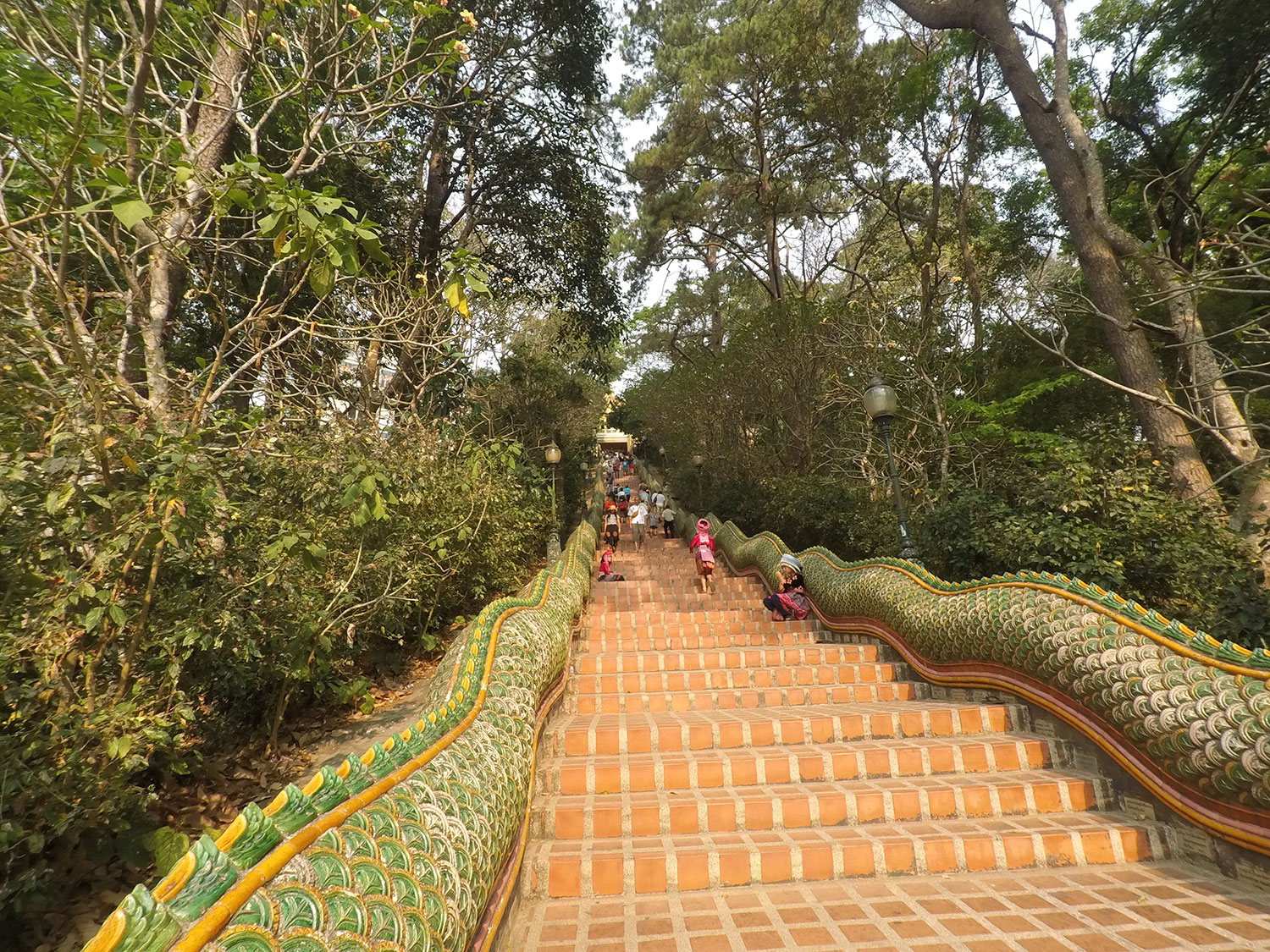 Stairs To Wat Phra That