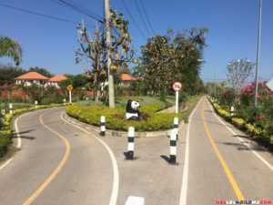 Biking In Chiang Mai