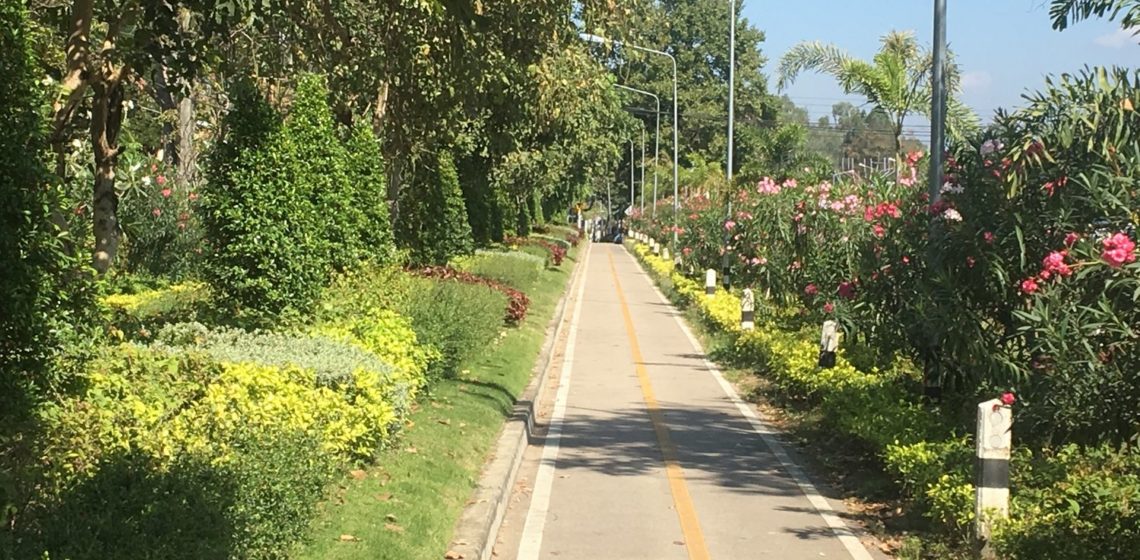 Bike Walking Path In Chiang Mai