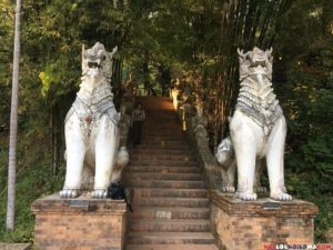 Amazing Statues at Wat Palad Chiang MAi Doi Suthep