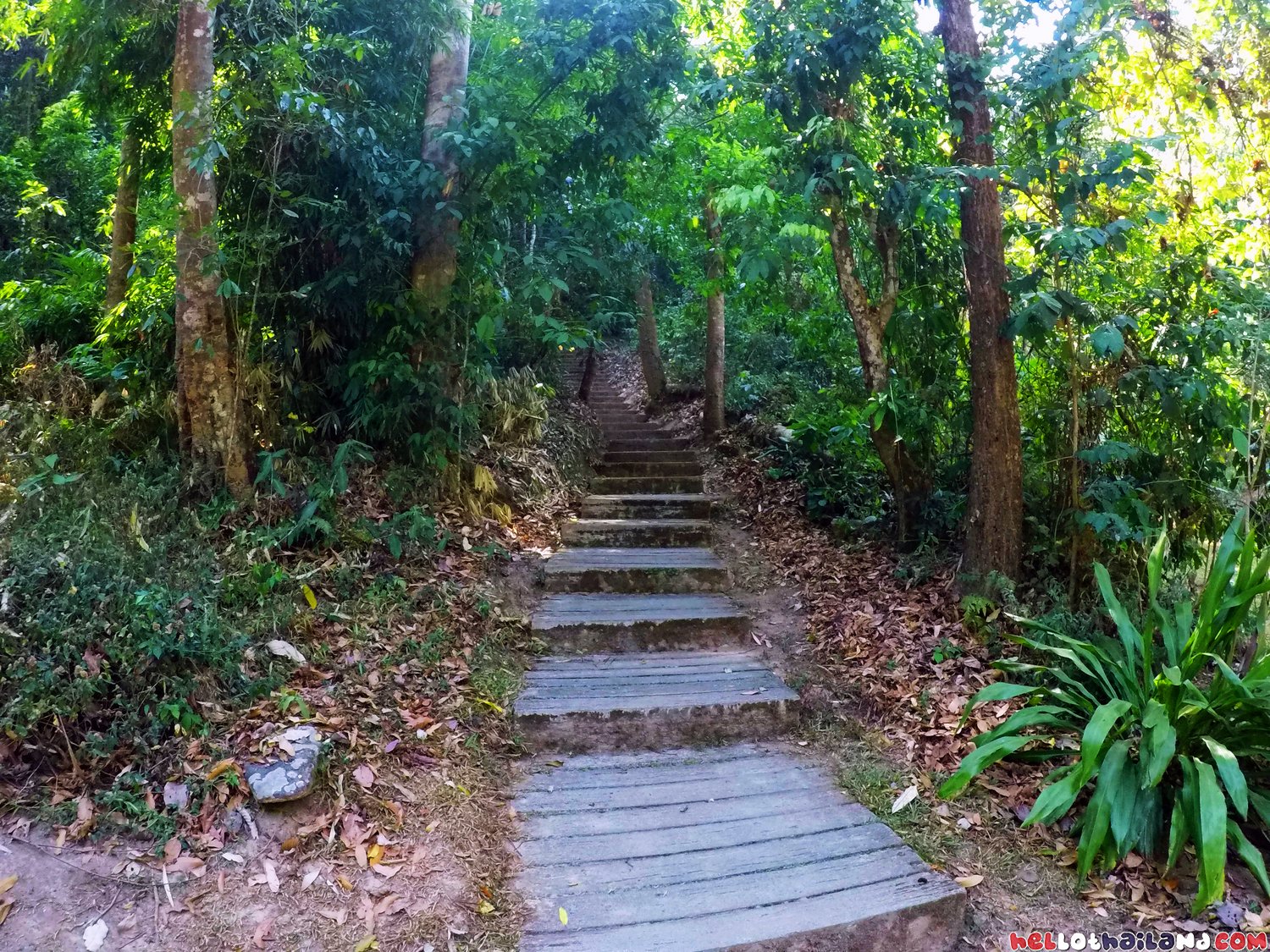 Montha Than Waterfall Doi Suthep Chiang Mai